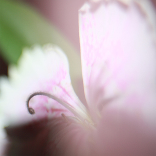 Illustration for article titled Shooting Challenge Freelensing Gallery 2